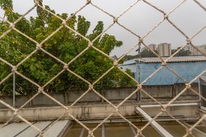 Image 16 - 874969
