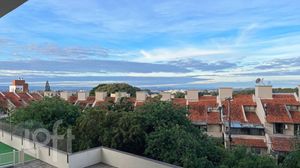 Image 4 - 875015