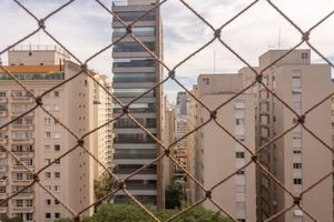 Image 42 - 875054
