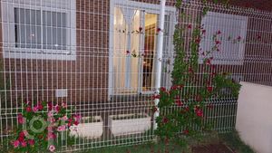 Image 7 - 875067