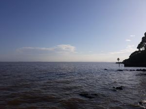 Image 14 - 875168