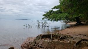 Image 10 - 875168