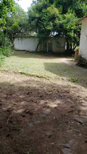 Image 5 - 875168