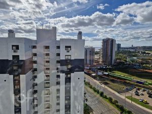 Image 15 - 875187