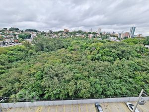 Image 2 - 875189