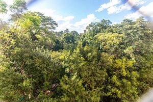 Image 18 - 875248