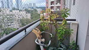 Image 3 - 875250
