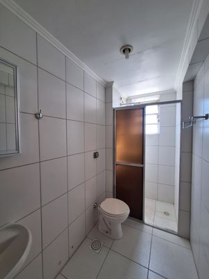 Image 19 - 875343