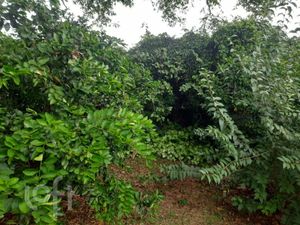 Image 7 - 875377
