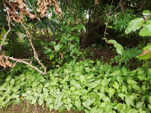 Image 9 - 875377