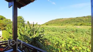 Image 15 - 875477