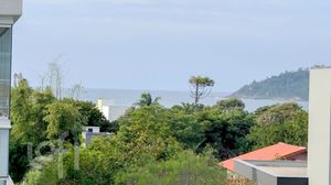 Image 25 - 875570