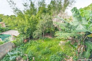 Image 13 - 875596