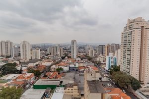 Image 7 - 875638