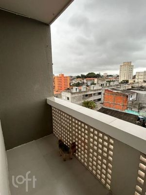 Image 5 - 875733