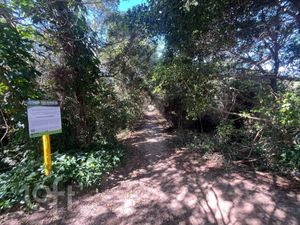 Image 37 - 875738
