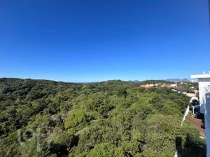 Image 36 - 875738
