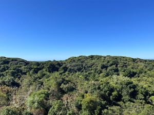 Image 4 - 875738
