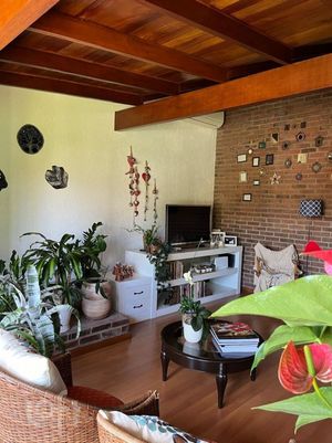 Image 19 - 875818