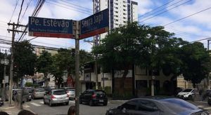 Image 14 - 875871