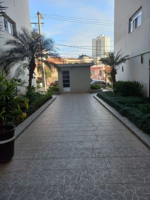 Image 13 - 875983