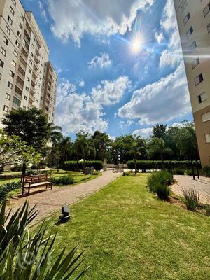 Image 17 - 875987