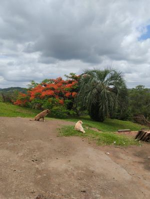 Image 20 - 875991