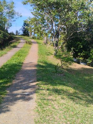 Image 21 - 875991