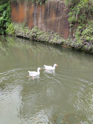 Image 14 - 875991