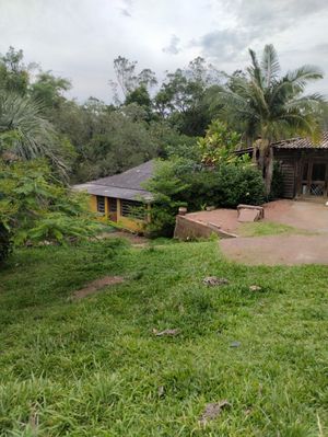 Image 12 - 875991