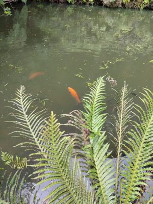 Image 13 - 875991