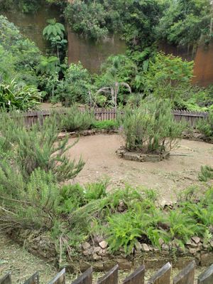 Image 19 - 875991