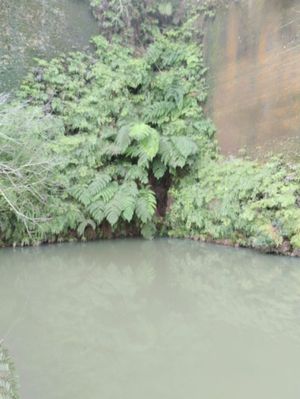 Image 15 - 875991