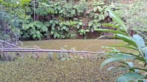 Image 17 - 875991