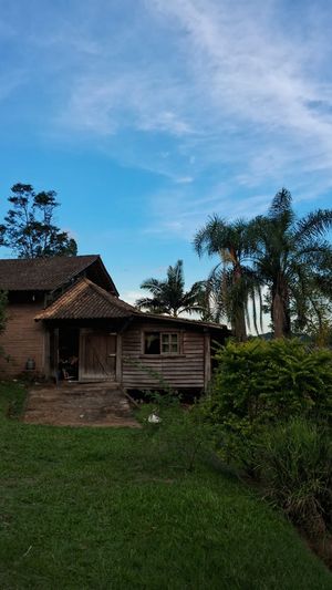 Image 10 - 875991