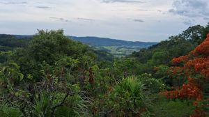 Image 16 - 875991