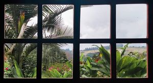 Image 4 - 875991