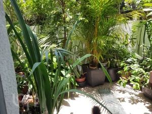 Image 7 - 876001