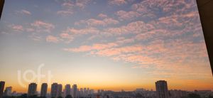 Image 5 - 876017