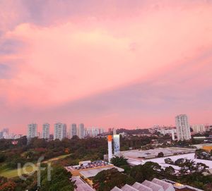 Image 19 - 876017