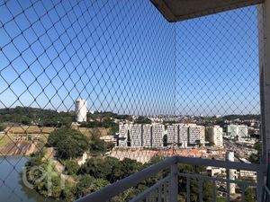 Image 16 - 876025