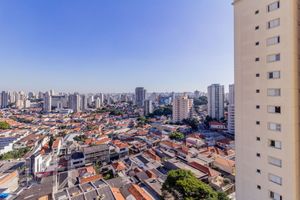 Image 8 - 876030