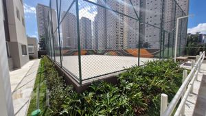 Image 36 - 876033
