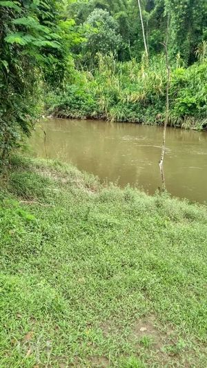 Image 10 - 876078
