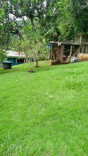 Image 9 - 876078