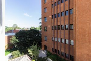 Image 9 - 876113