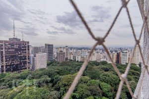 Image 14 - 876126