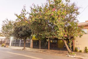 Image 96 - 876140