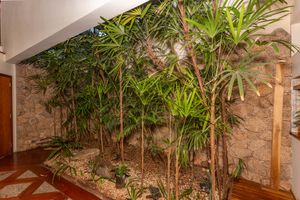 Image 4 - 876140