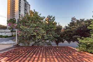 Image 65 - 876140